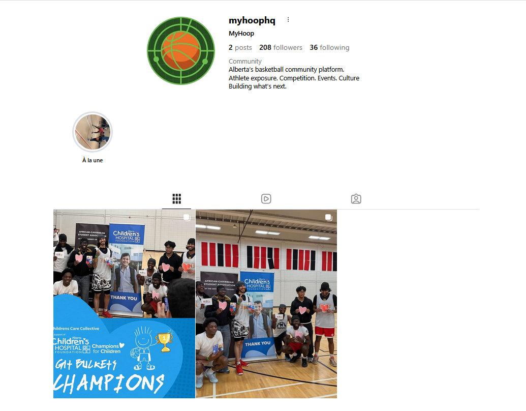 Instagram page preview